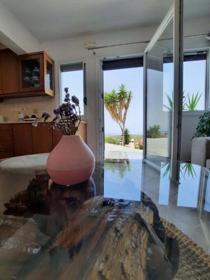 Janakos View Apartment With Private Pool Glinado Naxos Bagian luar foto