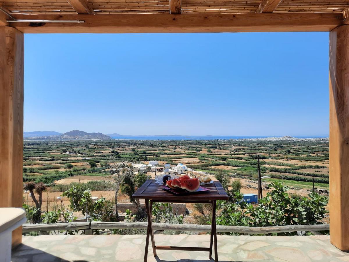 Janakos View Apartment With Private Pool Glinado Naxos Bagian luar foto