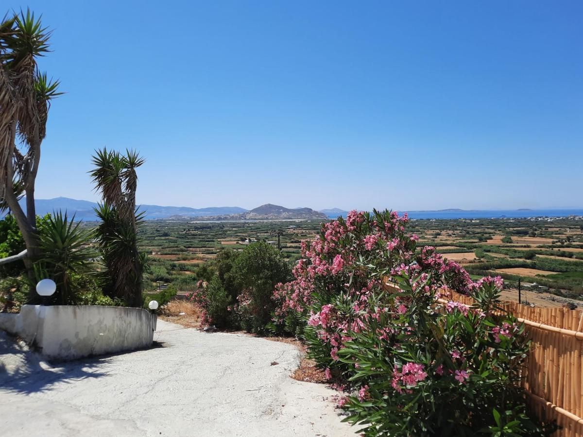 Janakos View Apartment With Private Pool Glinado Naxos Bagian luar foto