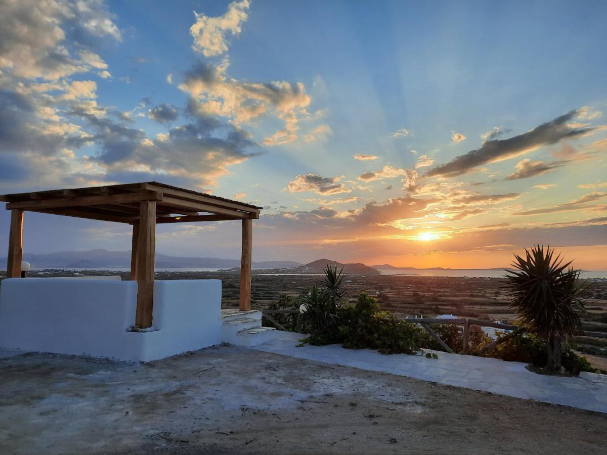 Janakos View Apartment With Private Pool Glinado Naxos Bagian luar foto
