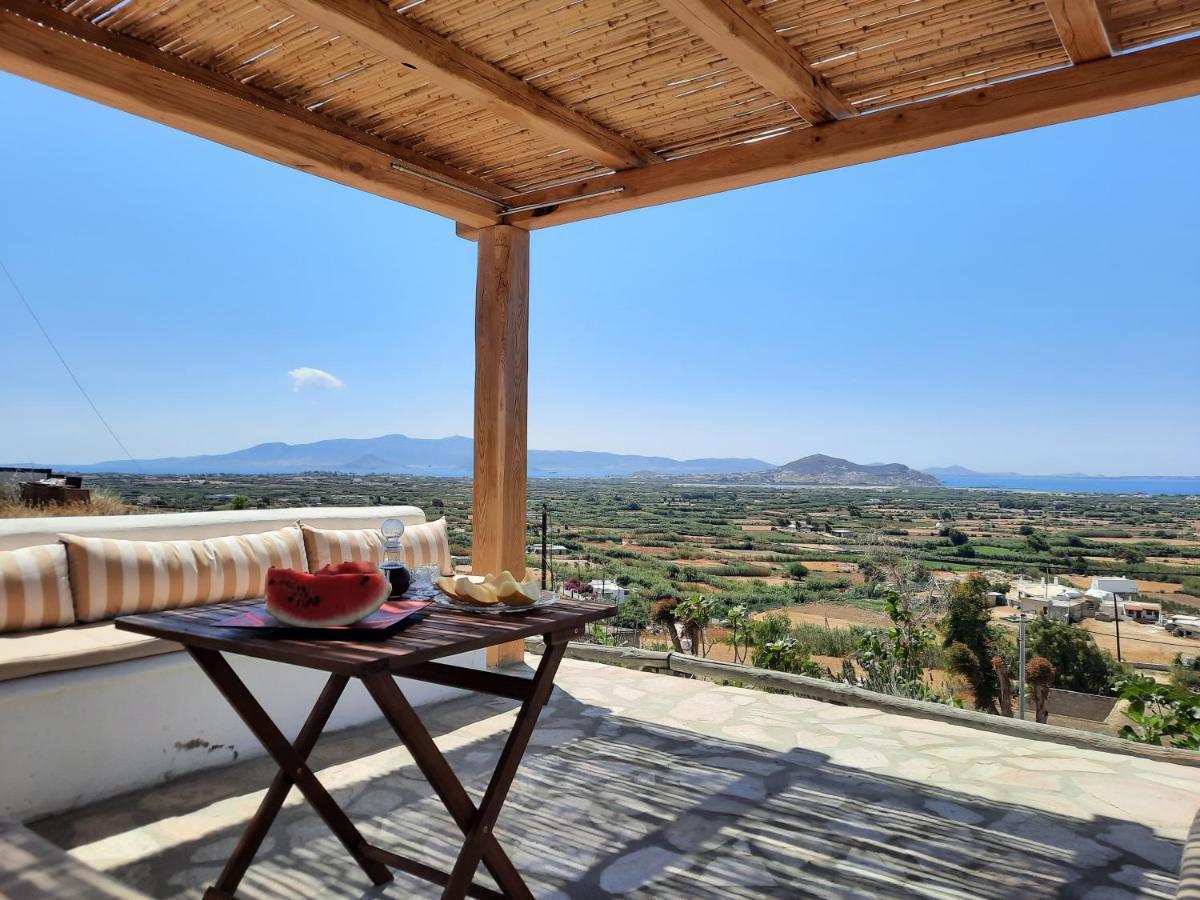 Janakos View Apartment With Private Pool Glinado Naxos Bagian luar foto