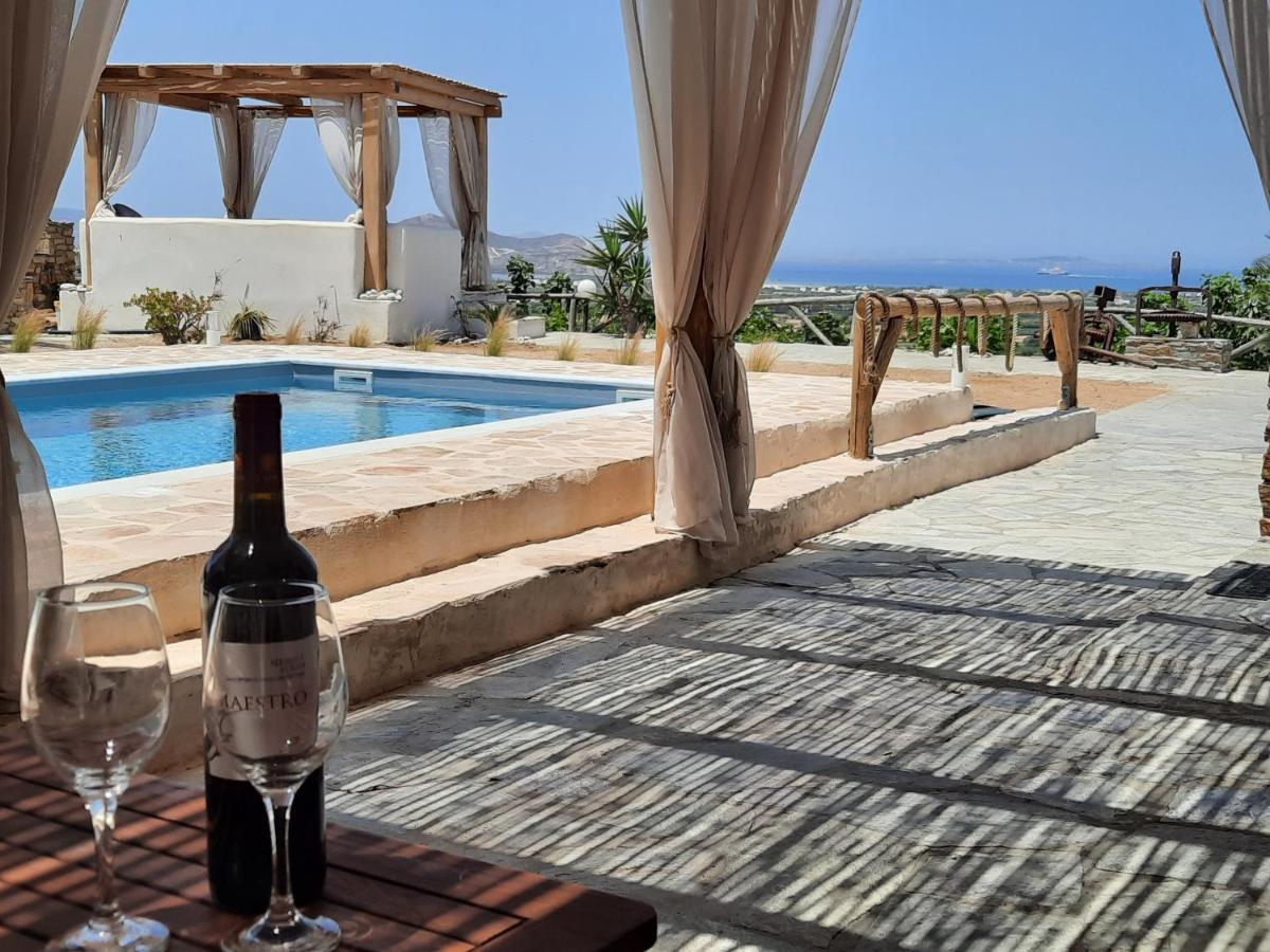 Janakos View Apartment With Private Pool Glinado Naxos Bagian luar foto