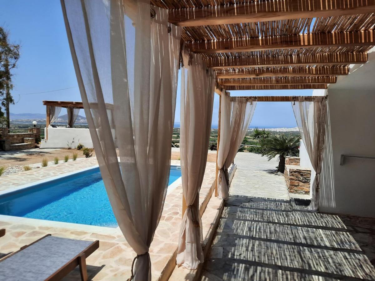 Janakos View Apartment With Private Pool Glinado Naxos Bagian luar foto